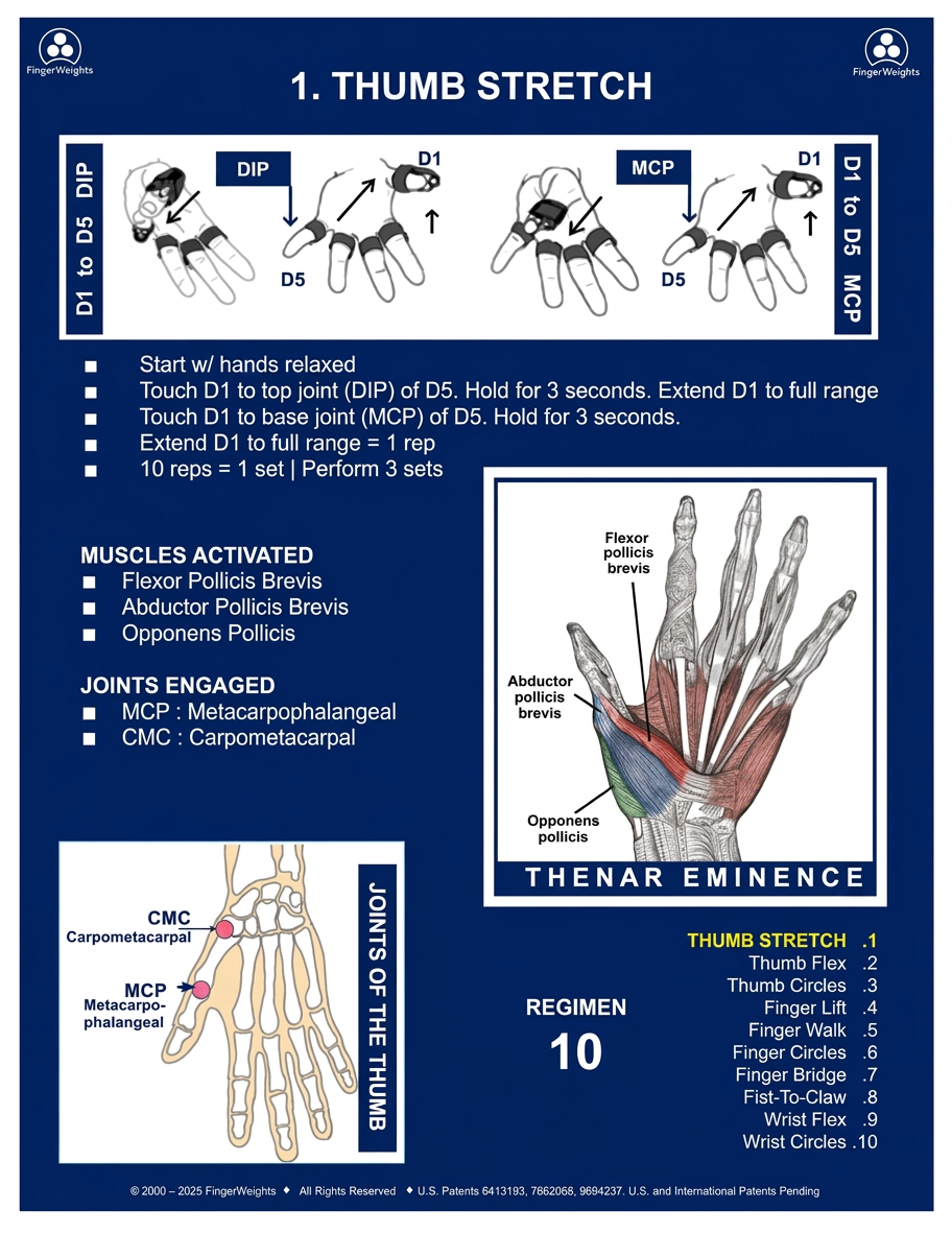 1. Thumb Stretch — exercise details, muscles activated, and joints engaged
